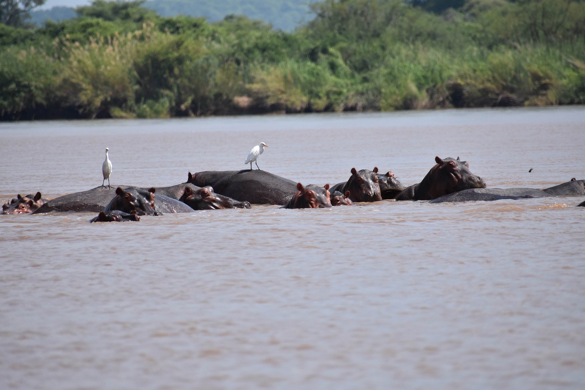 Un voyage mémorable en Afrique, un continent aux mille merveilles