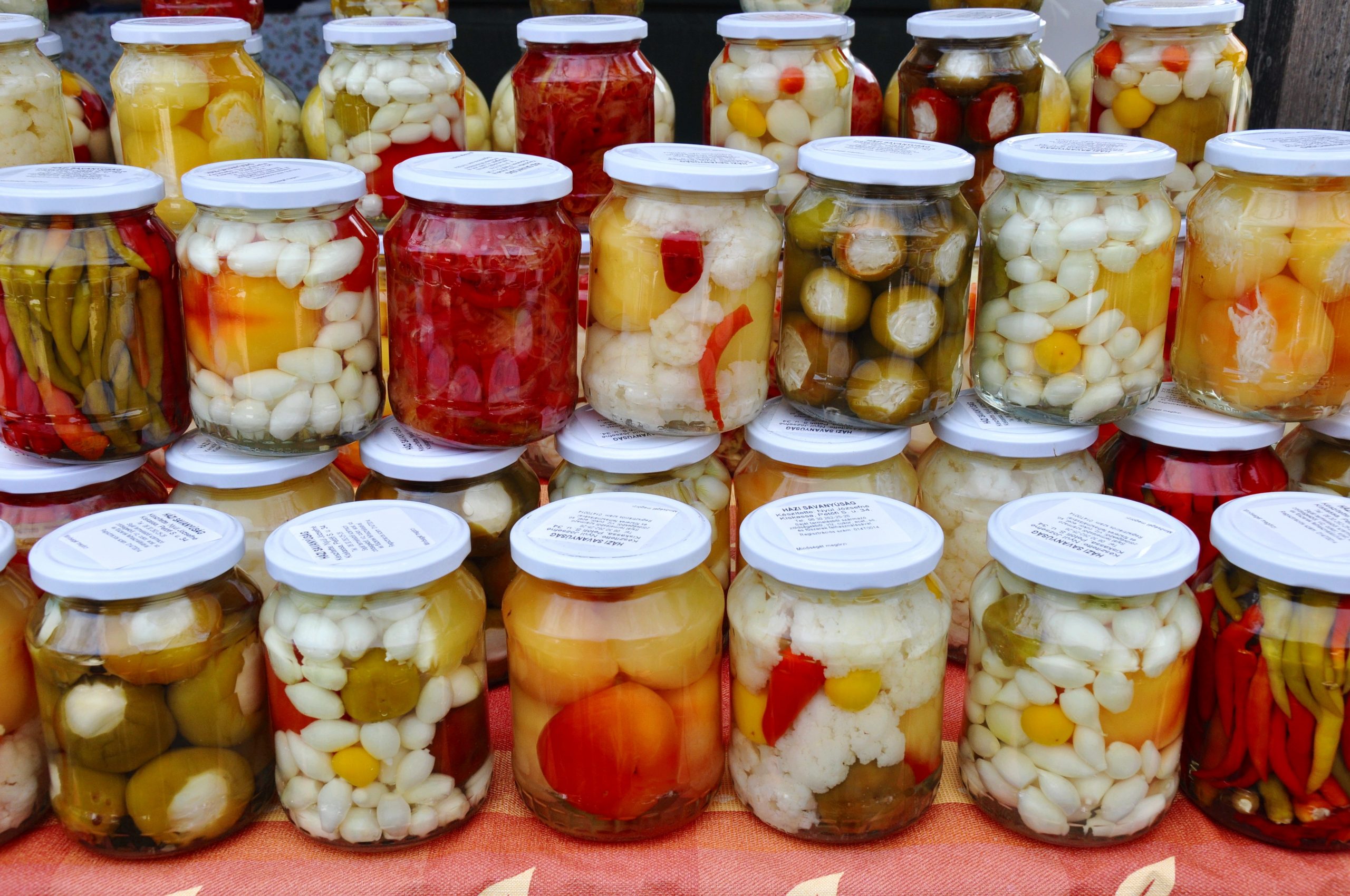 Comment conserver la jeunesse et la fraîcheur de vos fruits – Quels fruits choisir ?